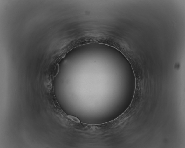 X0000089931109200707061033