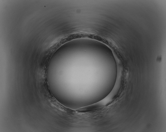 X0000089931110200707061034