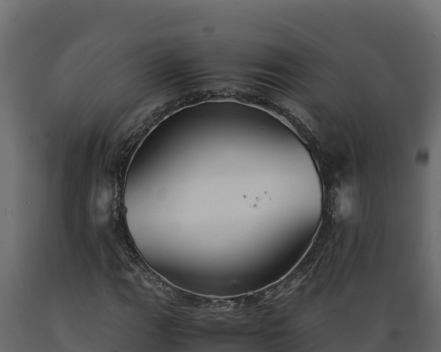 X0000089931111200707061034