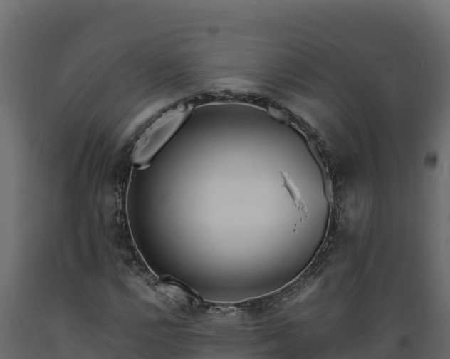 X0000089931112200707061034