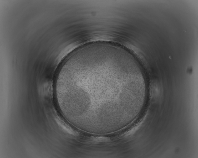 X0000089931113200707061034