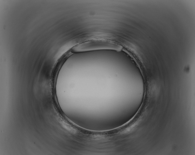 X0000089931114200707061034