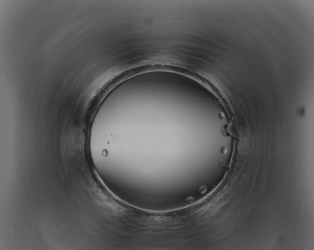 X0000089931115200707061034