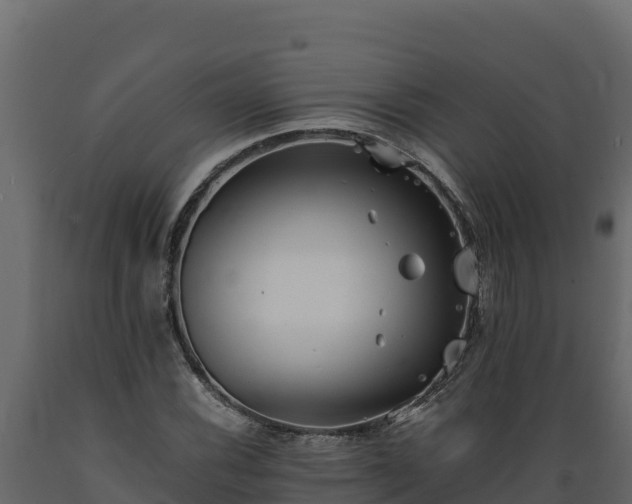 X0000089931116200707061034