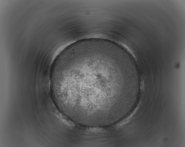 X0000089931117200707061034