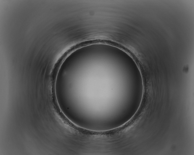 X0000089931118200707061034