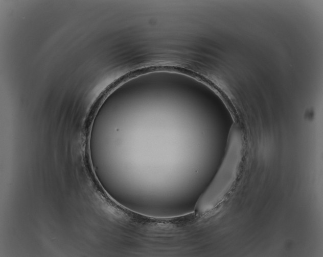 X0000089931119200707061034