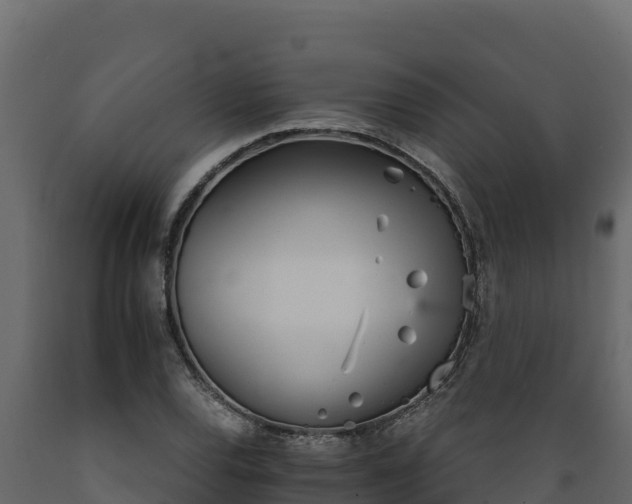 X0000089931120200707061034