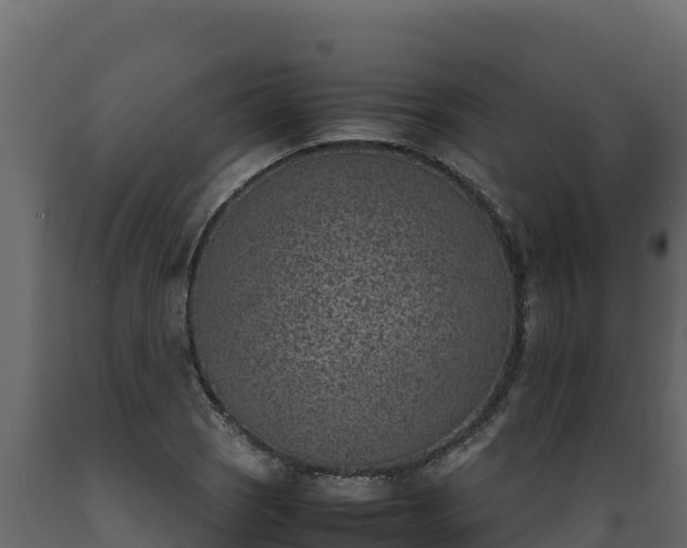 X0000089931121200707061034