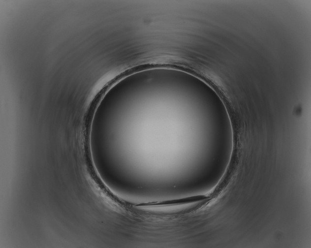 X0000089931122200707061034