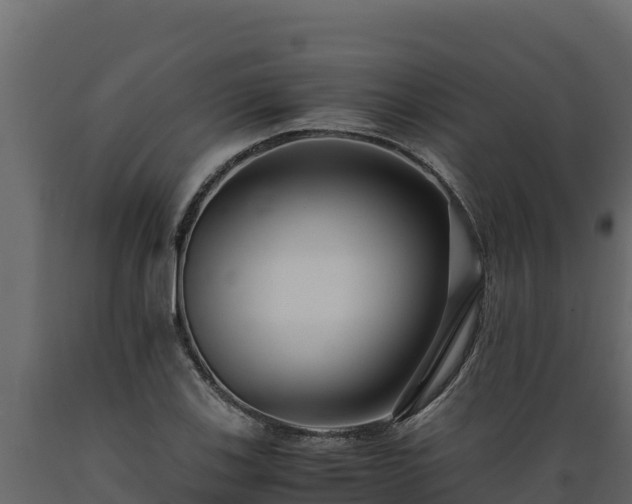 X0000089931123200707061034