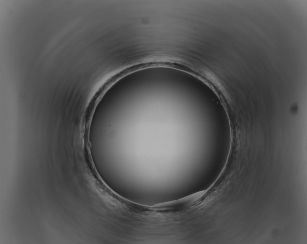 X0000089931124200707061034