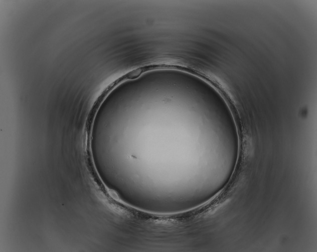 X0000089931125200707061034