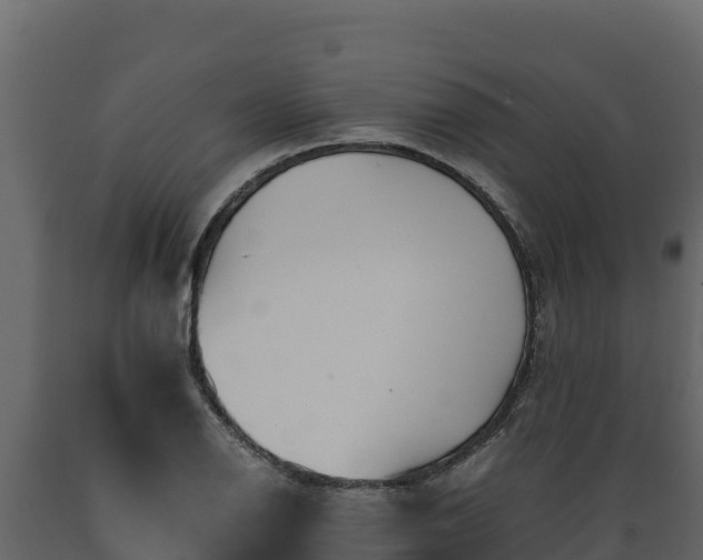 X0000089931126200707061034