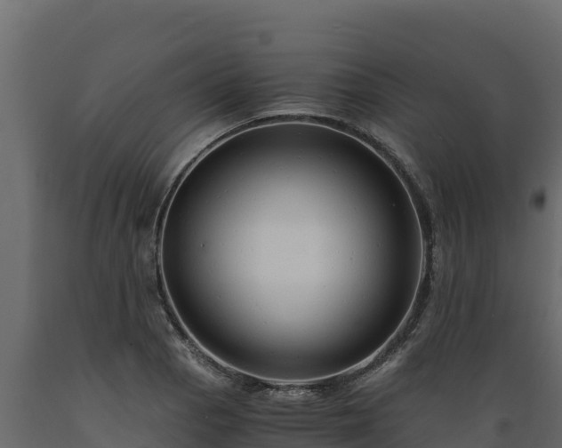 X0000089931129200707061034