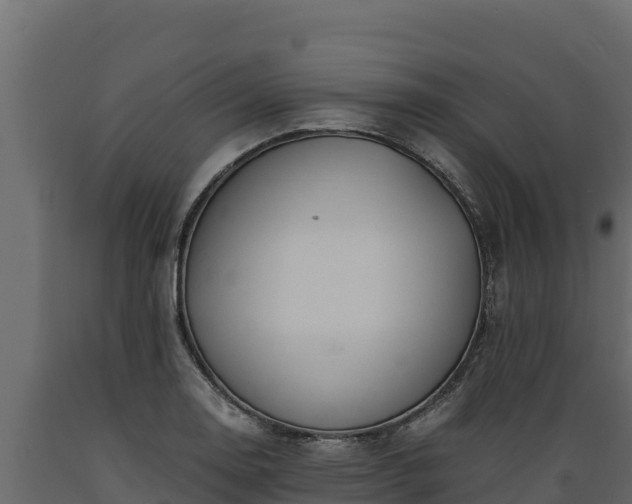 X0000089931130200707061034