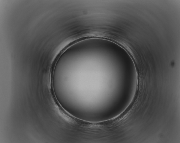 X0000089931131200707061034