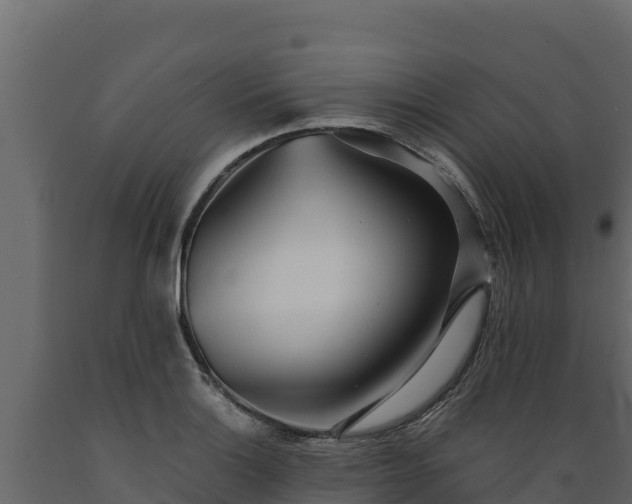 X0000089931132200707061034