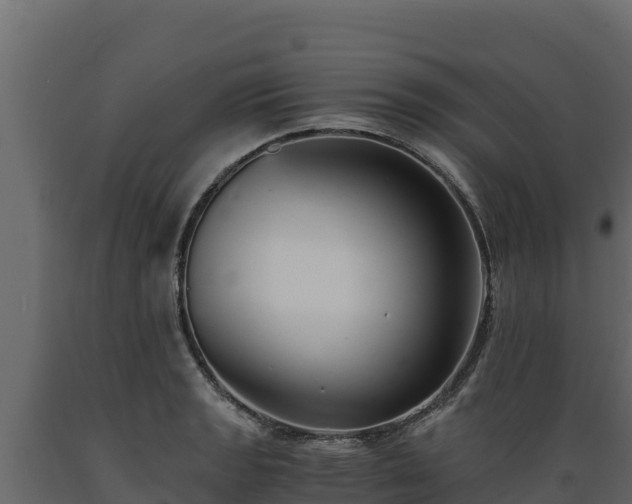 X0000089931133200707061034