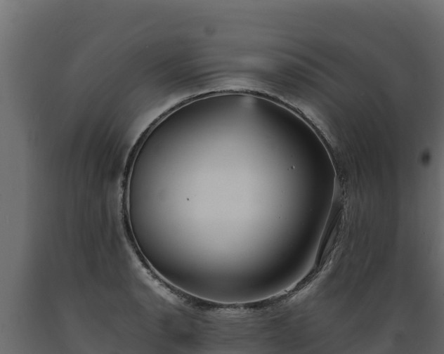 X0000089931134200707061034