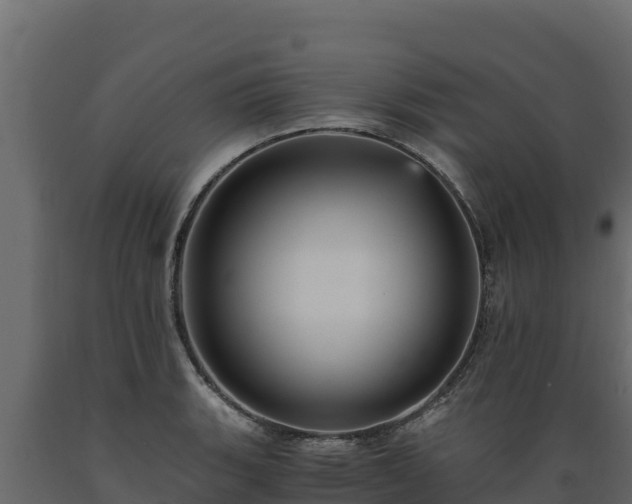 X0000089931135200707061034