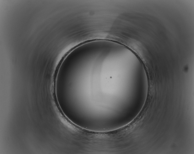 X0000089931136200707061034