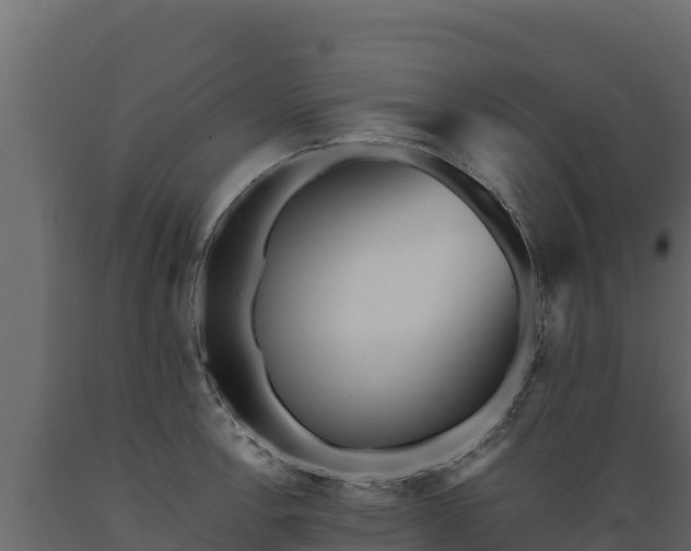 X0000089931138200707061034