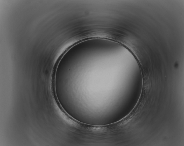 X0000089931139200707061034