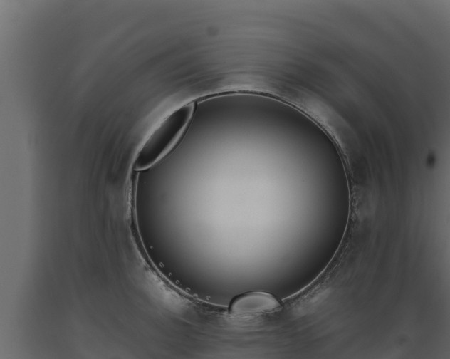 X0000089931140200707061034