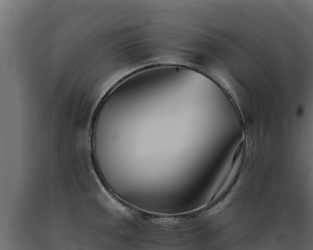 X0000089931141200707061034