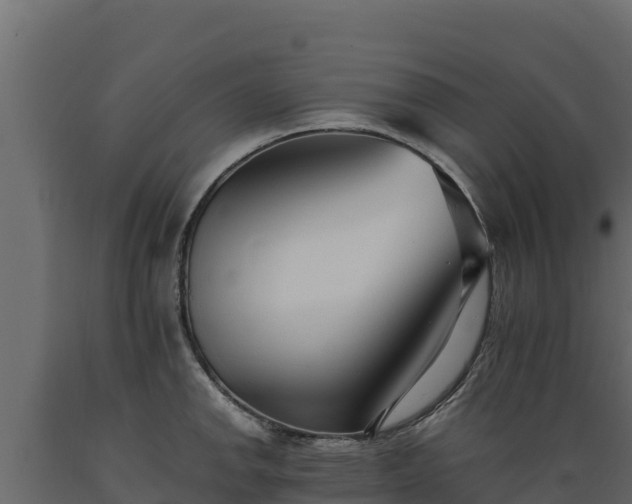 X0000089931142200707061034