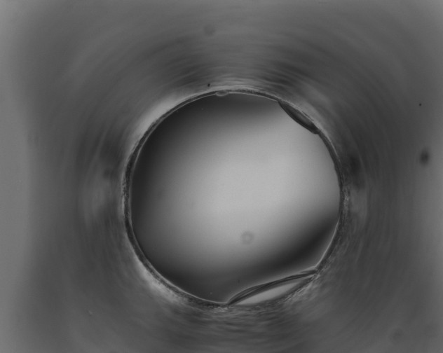 X0000089931143200707061034