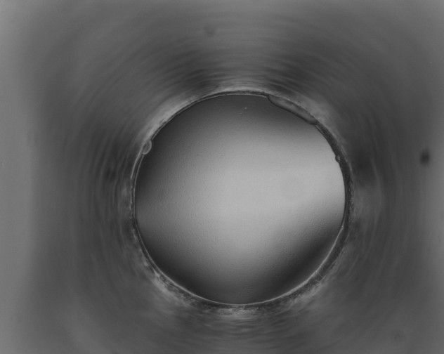 X0000089931145200707061034