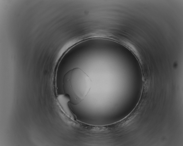 X0000089931146200707061034