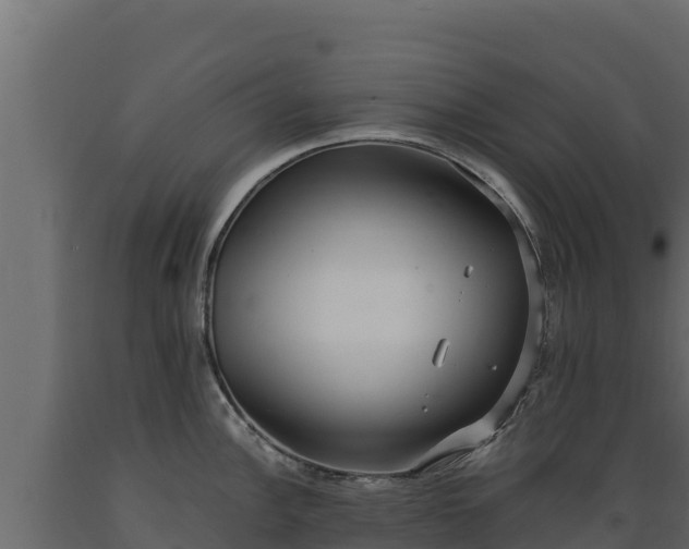 X0000089931148200707061034