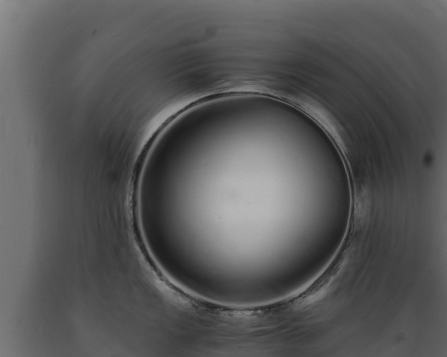 X0000089931149200707061034