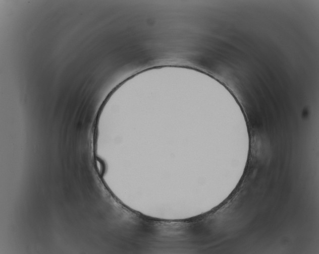 X0000089931150200707061034