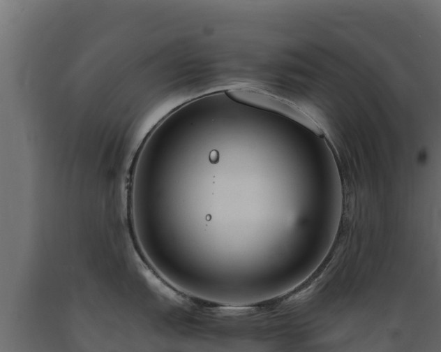 X0000089931151200707061034