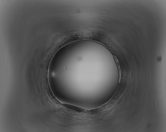 X0000089931153200707061033