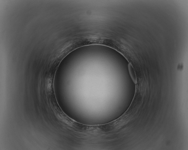 X0000089931154200707061033