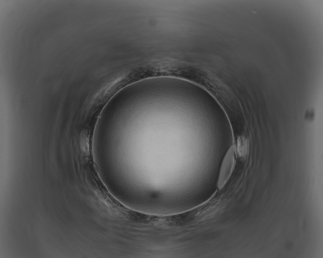 X0000089931155200707061033