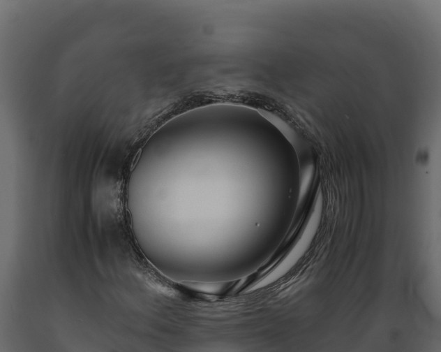 X0000089931156200707061033