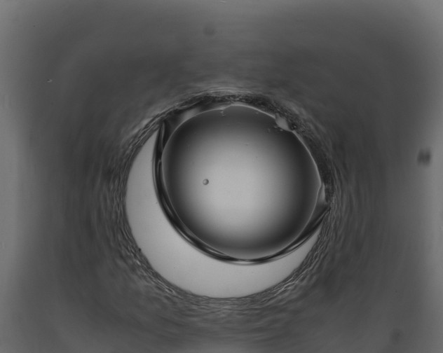 X0000089931157200707061033