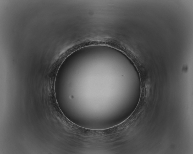 X0000089931158200707061033