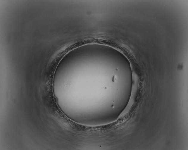 X0000089931159200707061033