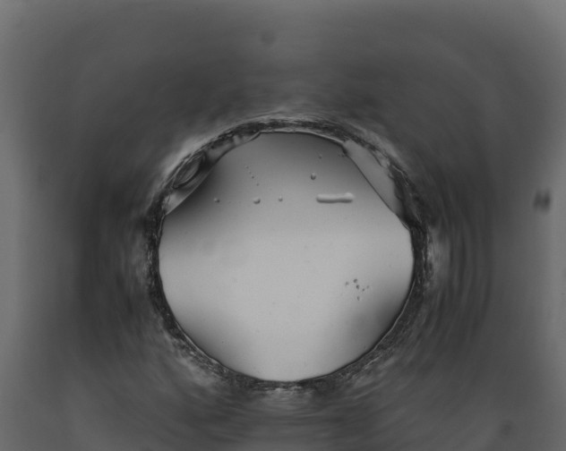 X0000089931160200707061033