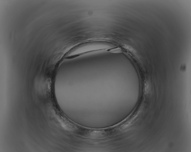 X0000089931161200707061033