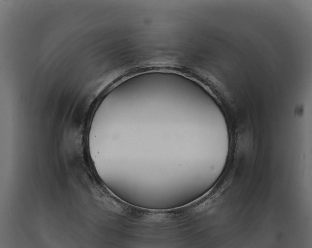 X0000089931162200707061033