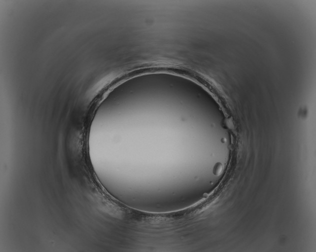 X0000089931163200707061033