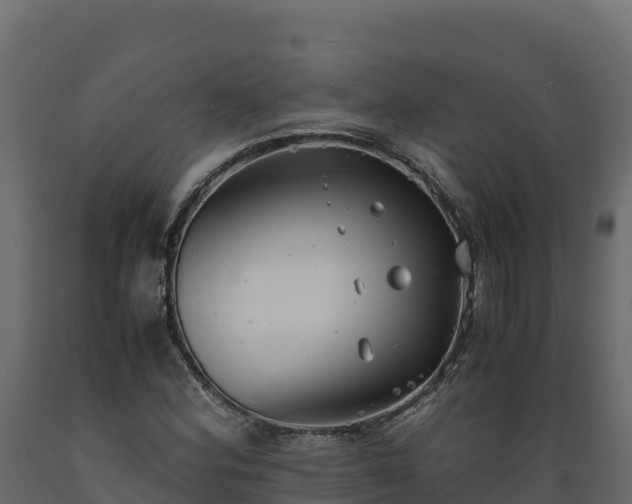 X0000089931164200707061033